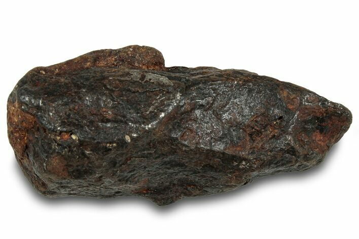 Canyon Diablo Iron Meteorite ( g) - Arizona #319570